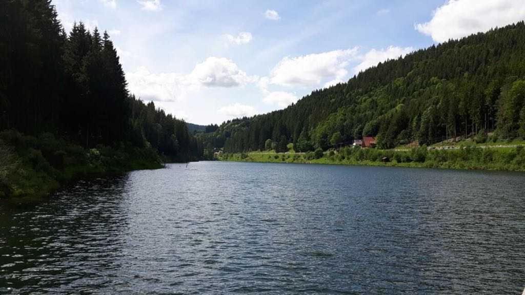 Haus Waldeck Apartamento Furtwangen Exterior foto